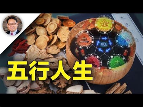 飲食業 五行|【飲食業 五行】餐飲業與五行關係：揭開飲食界的五。